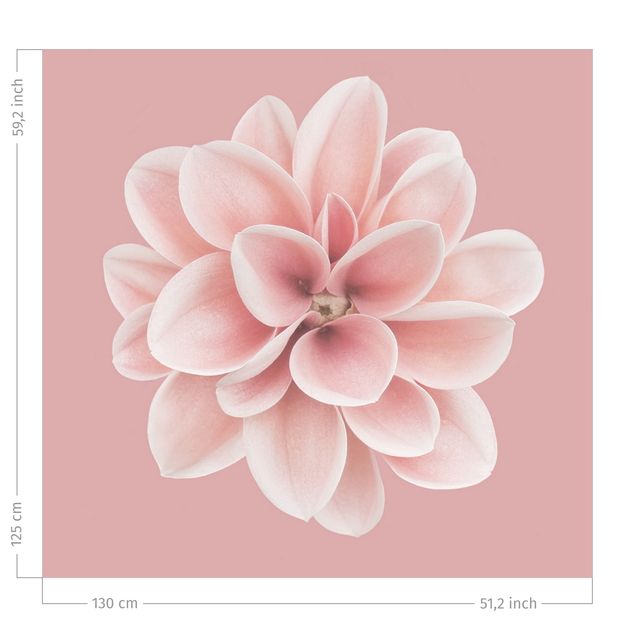 bloem gordijnen Dahlia Pink Blush Flower Centered