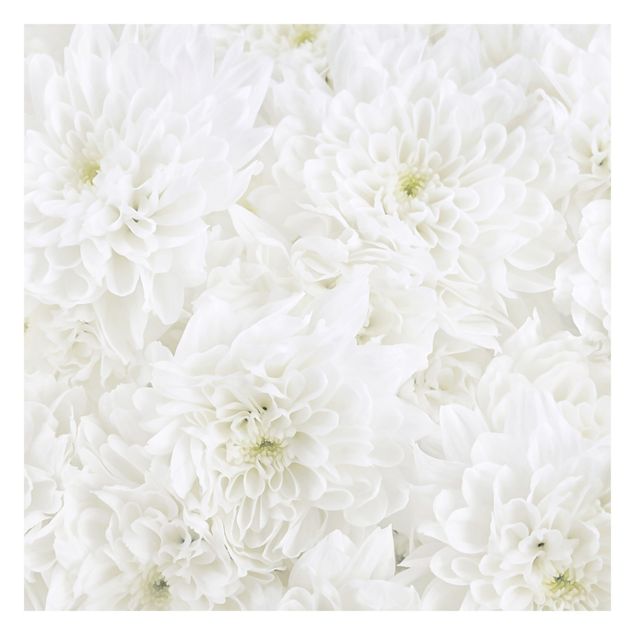 Fotobehang Dahlias Sea Of Flowers White