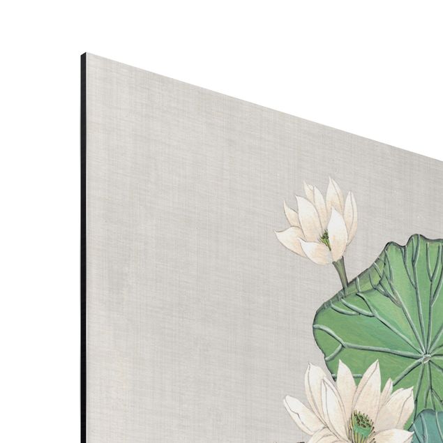 Aluminium Dibond schilderijen Vintage Illustration Lotus Flowers In Pond II