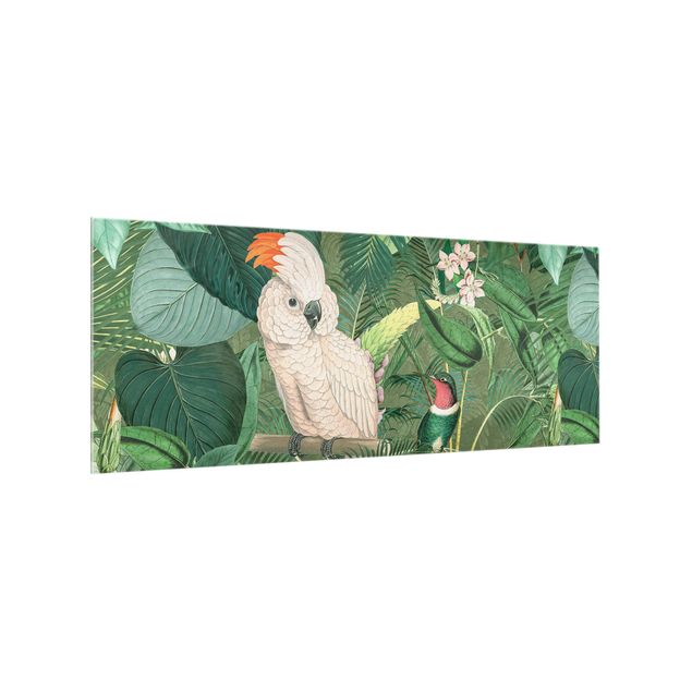 Spatscherm keuken Vintage Collage - Cockatoo And Hummingbird