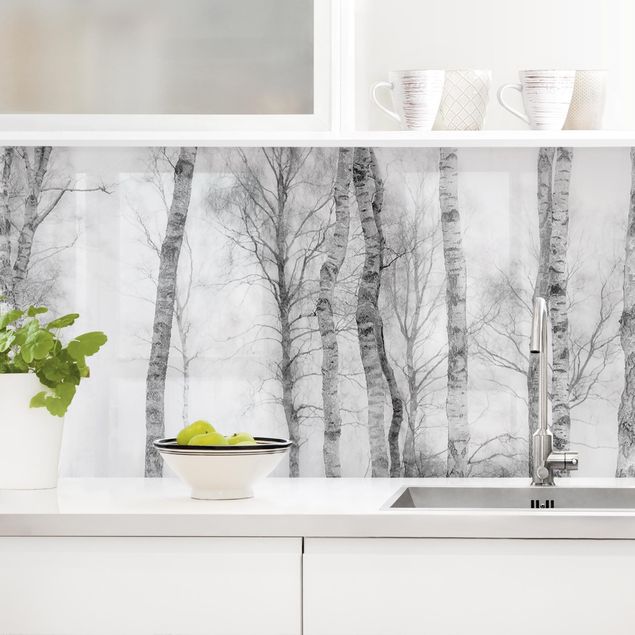 Achterwand voor keuken en zwart en wit Mystic Birch Forest Black And White