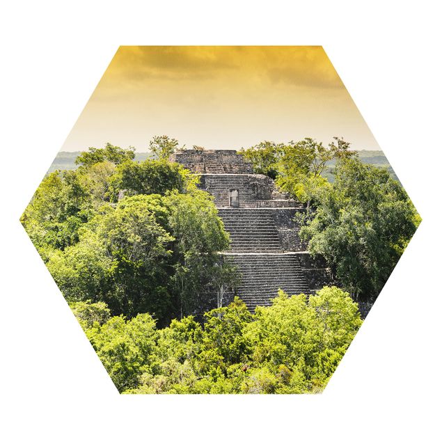 Hexagons Forex schilderijen Pyramid of Calakmul