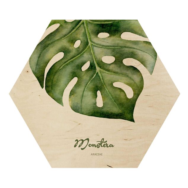 Hexagons houten schilderijen Watercolour Botany Monstera