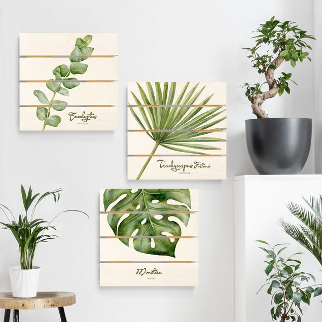 Houten schilderijen op plank - 3-delig Watercolour Botany