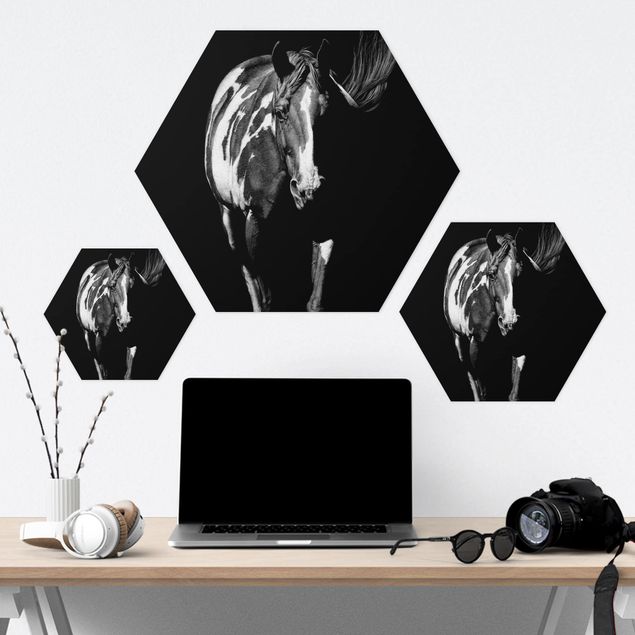 Hexagons Forex schilderijen Horse In The Dark
