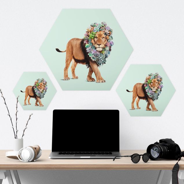 Hexagons Forex schilderijen Lion With Succulents