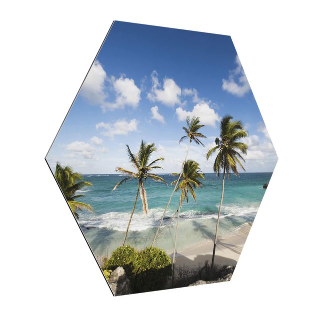 Hexagons Aluminium Dibond schilderijen Beach Of Barbados