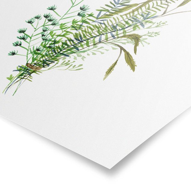 Posters Meadow Grasses II