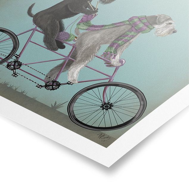 Posters Cycling - Schnauzer Tandem