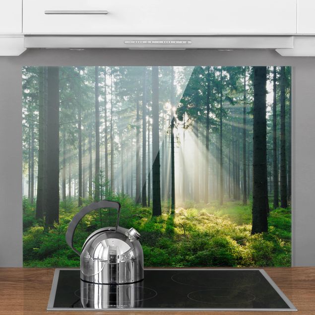 Spatscherm keuken Enlightened Forest