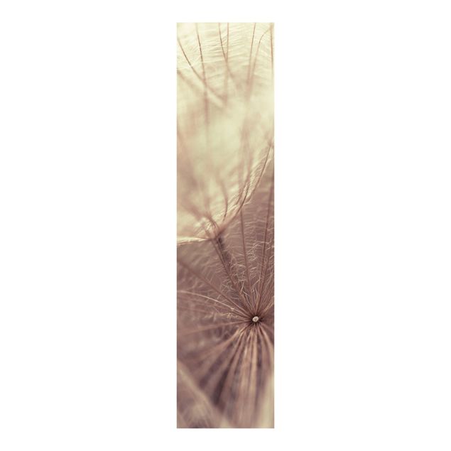 Schuifgordijnen Detailed Dandelion Macro Shot With Vintage Blur Effect