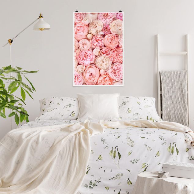 Posters Roses Rosé Coral Shabby