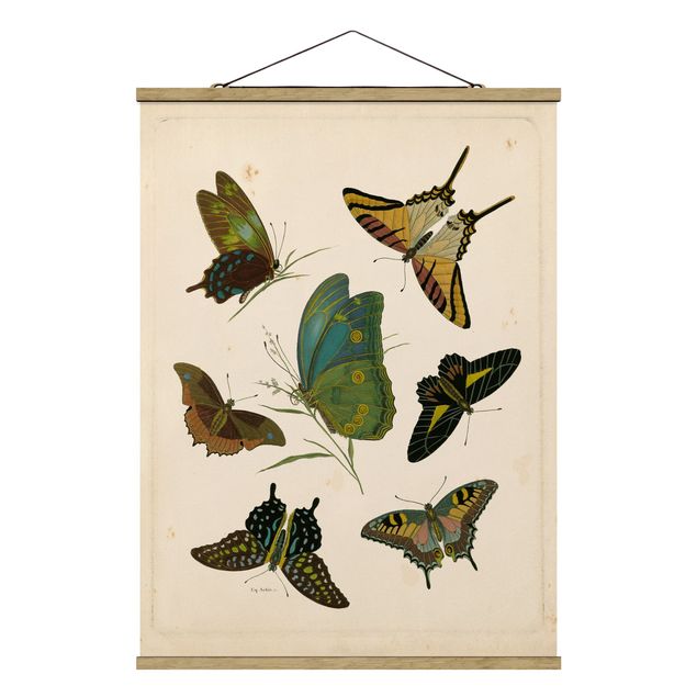 Stoffen schilderij met posterlijst Vintage Illustration Exotic Butterflies