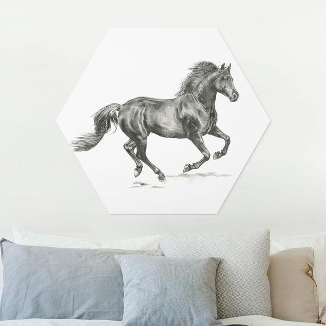 Hexagons Forex schilderijen Wild Horse Trial - Stallion