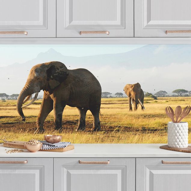 Achterwand voor keuken landschap Elephants In Front Of The Kilimanjaro In Kenya
