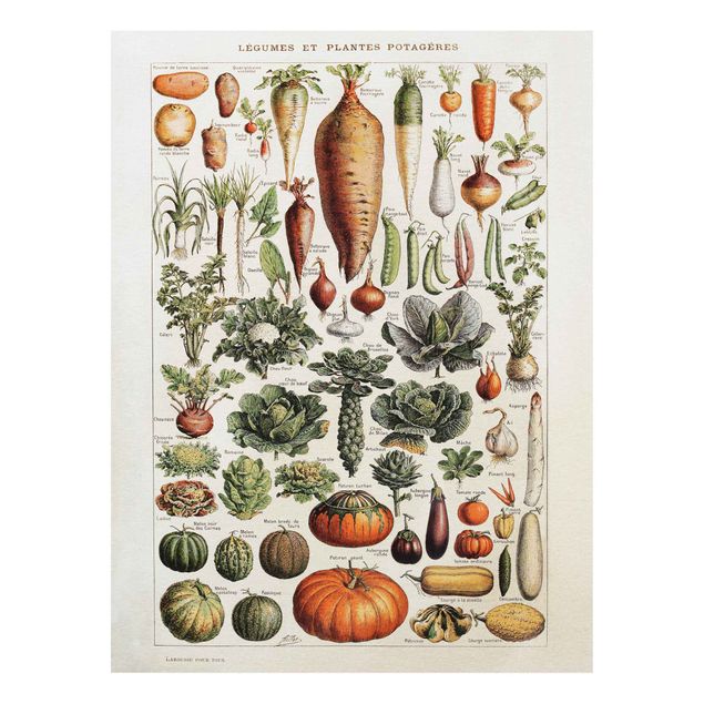 Forex schilderijen Vintage Board Vegetables