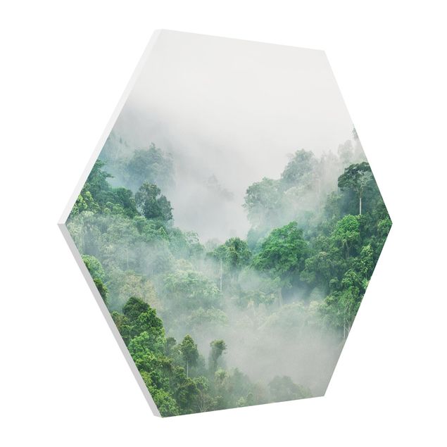 Hexagons Forex schilderijen Jungle In The Fog