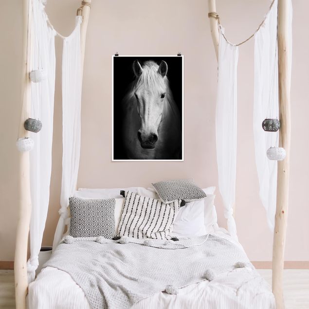 Posters Dream Of A Horse