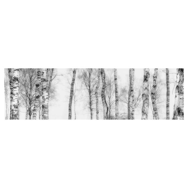 Keukenachterwanden Mystic Birch Forest Black And White