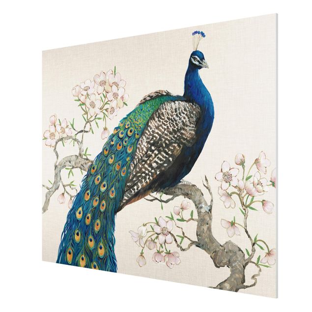 Forex schilderijen Vintage Peacock With Cherry Blossoms