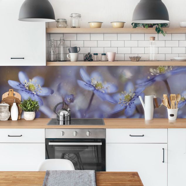 Achterwand in keuken Anemone In Blue