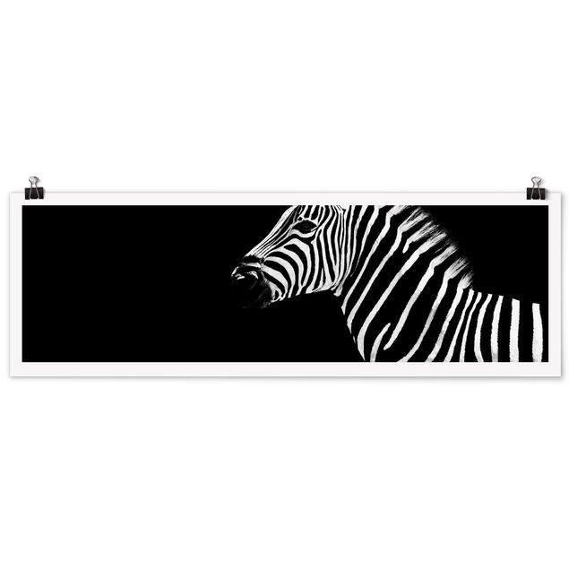 Posters Zebra Safari Art