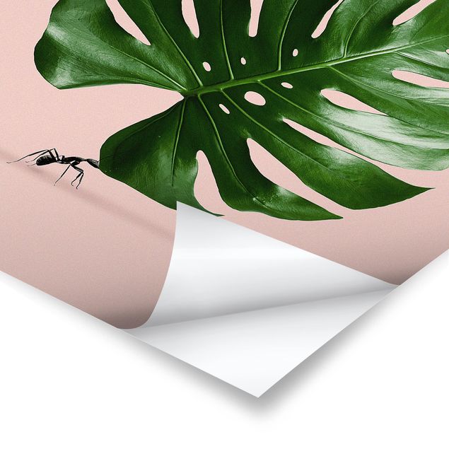 Posters Ant With Monstera Leaf
