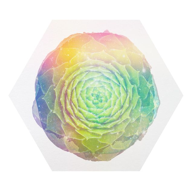 Hexagons Forex schilderijen WaterColours - Mandala Succulent