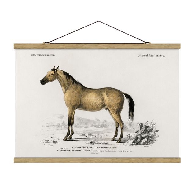 Stoffen schilderij met posterlijst Vintage Board Horse