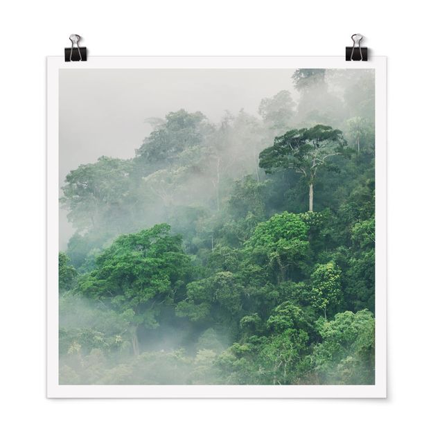 Posters Jungle In The Fog