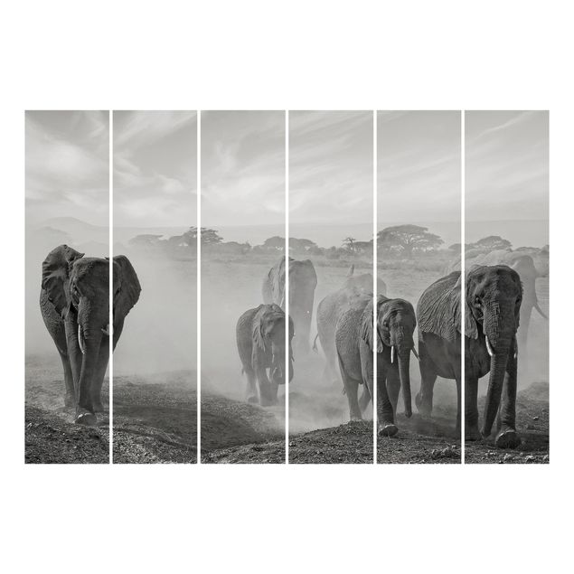 Schuifgordijnen Herd Of Elephants