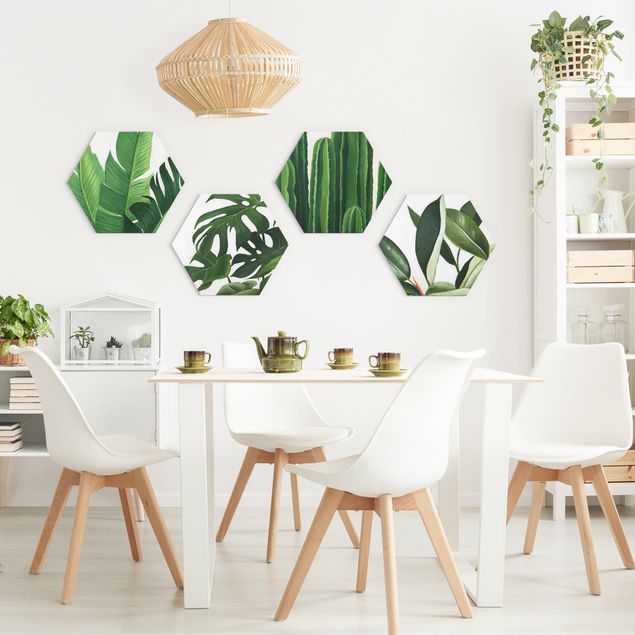 Hexagons Forex schilderijen - 4-delig Favorite Plants Tropical Set I