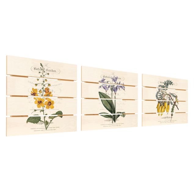 Houten schilderijen op plank - 3-delig Botanical Tableau Set I