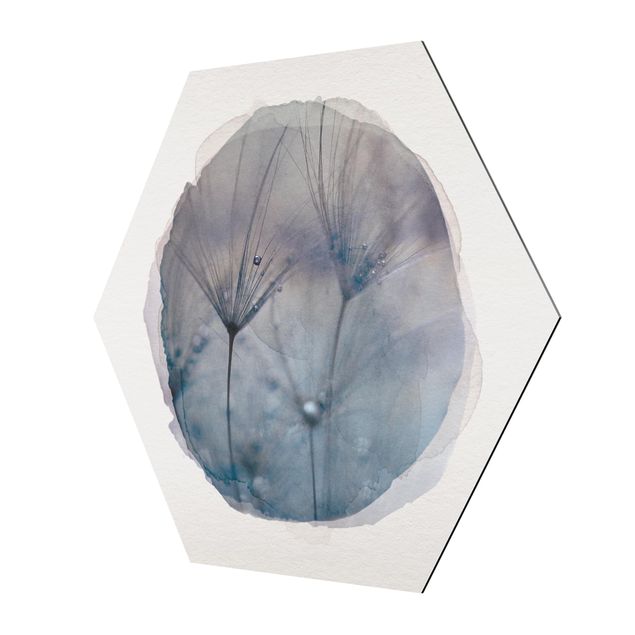 Hexagons Aluminium Dibond schilderijen Water Colours - Blue Feathers In The Rain