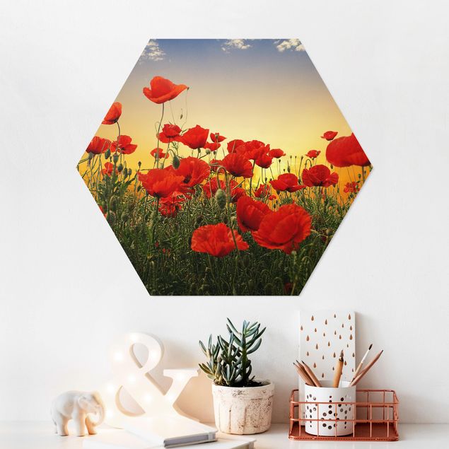 Hexagons Forex schilderijen Poppy Field In Sunset
