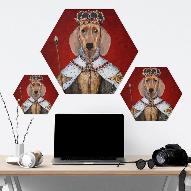 Hexagons Aluminium Dibond schilderijen Animal Portrait - Dachshund Queen