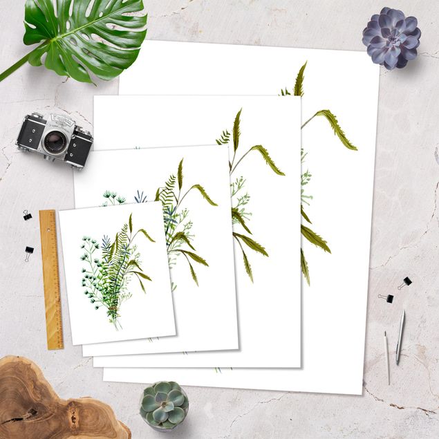 Posters Meadow Grasses II