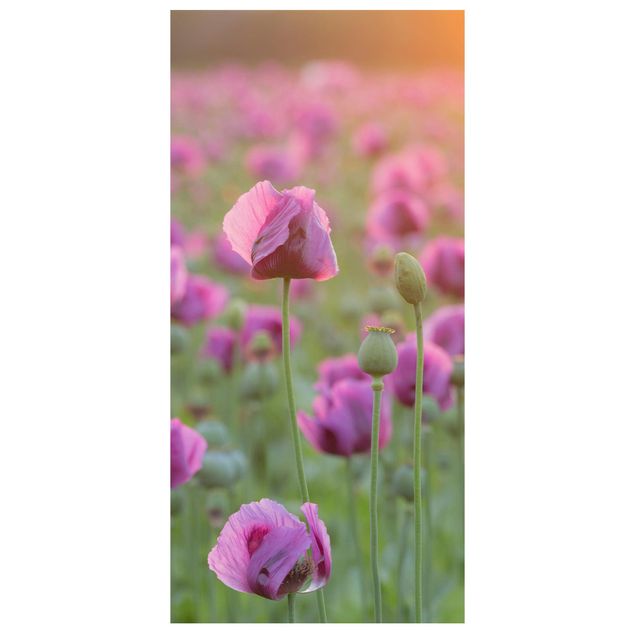 Ruimteverdeler Purple Poppy Flower Meadow In Spring