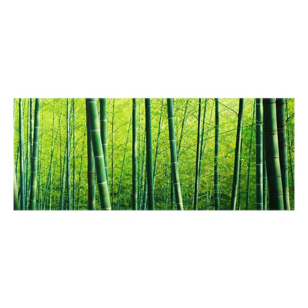 Spatscherm keuken Bamboo Forest