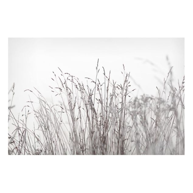 Magneetborden Winter Grasses