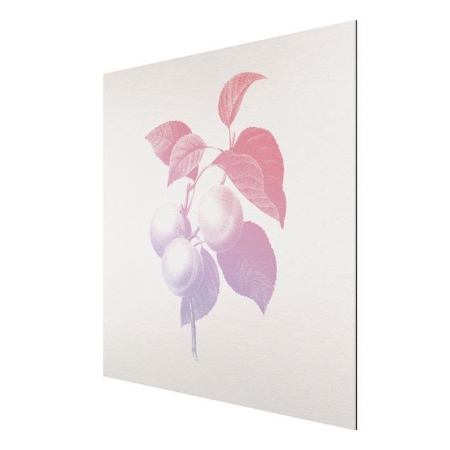 Aluminium Dibond schilderijen Modern Vintage Botanik Peach Light Pink Violet