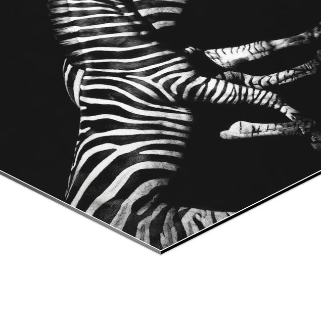 Hexagons Aluminium Dibond schilderijen Zebra In The Dark