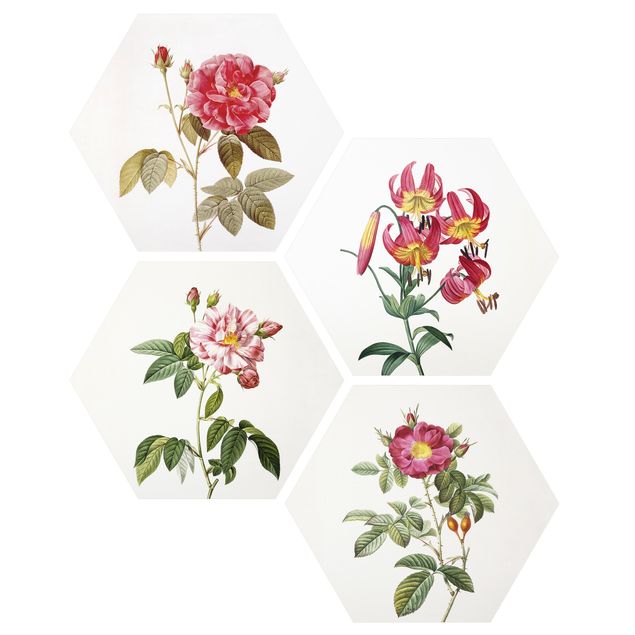 Hexagons Forex schilderijen - 4-delig Pierre Joseph Redoute - Roses And Lilies