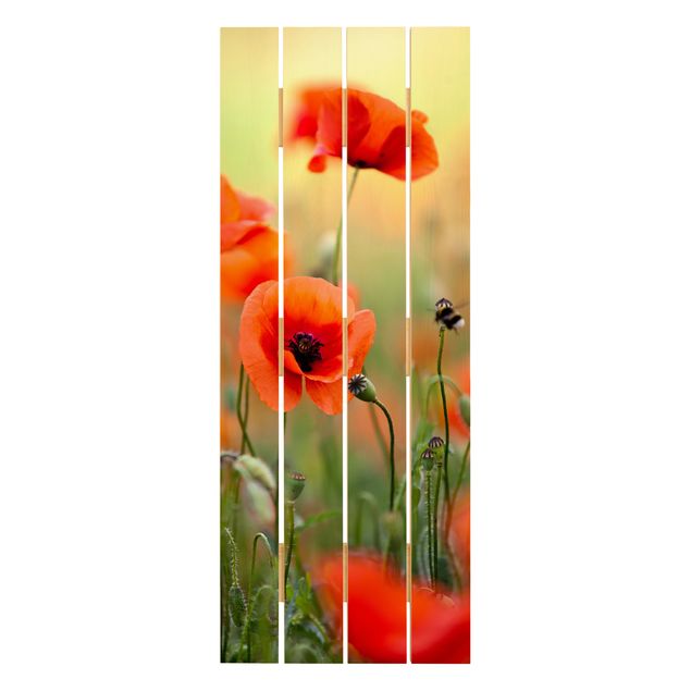 Houten schilderijen op plank Red Summer Poppy