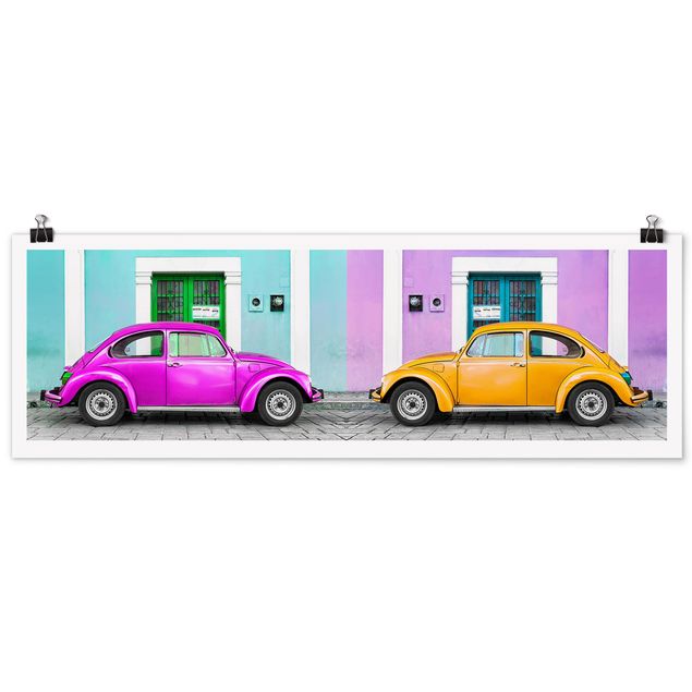 Posters Dyed Beetles