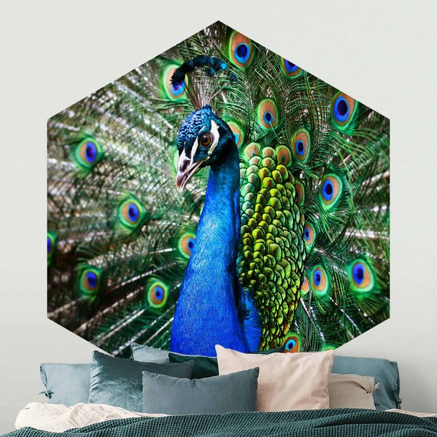 Hexagon Behang Noble Peacock