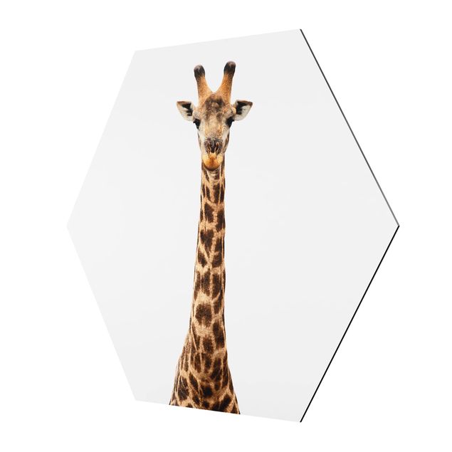 Hexagons Aluminium Dibond schilderijen Giraffe head