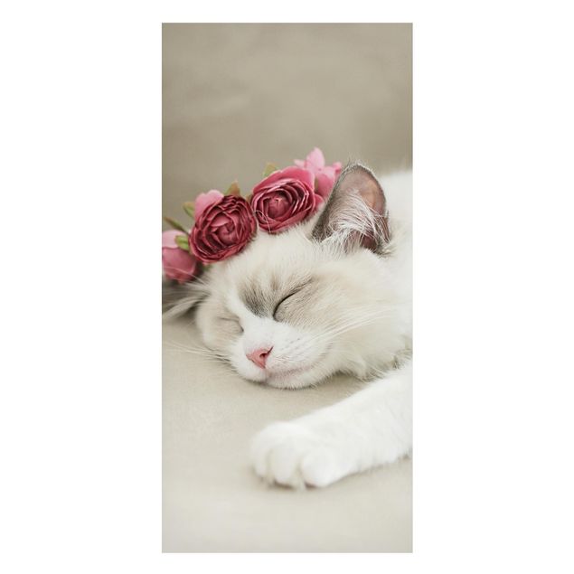 Magneetborden Sleeping Cat with Roses
