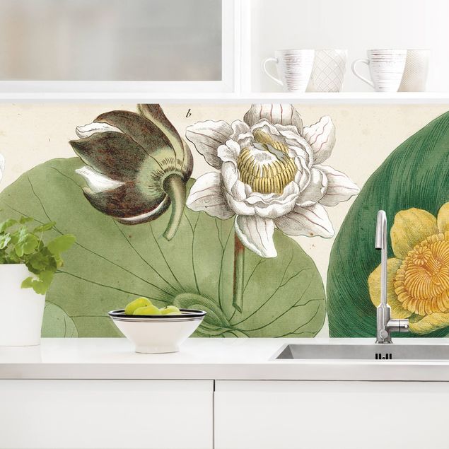 Achterwand voor keuken bloemen Vintage Board White Water-Lily