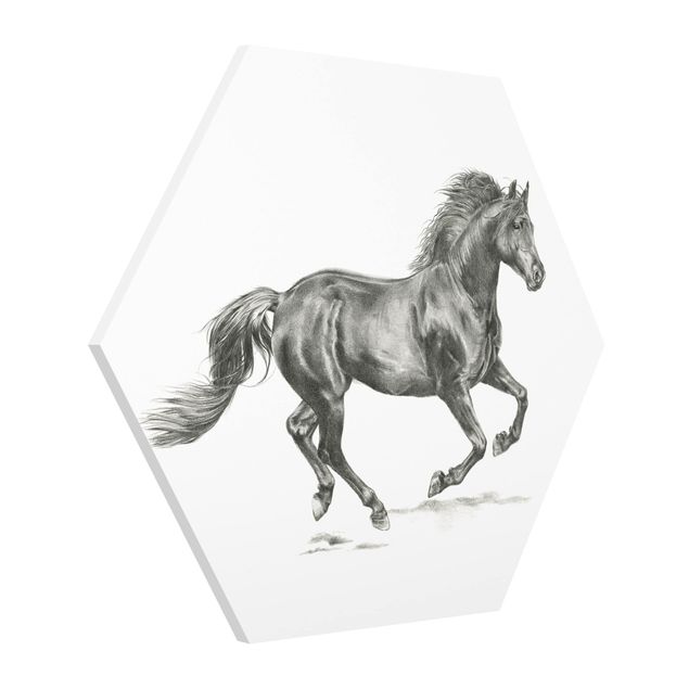 Hexagons Forex schilderijen Wild Horse Trial - Stallion